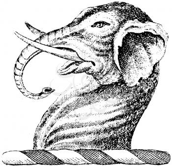 Heraldry Illustration