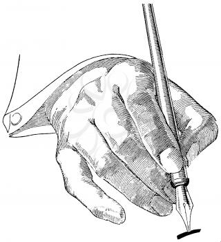 Hand Illustration