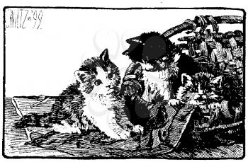 Illustration #1596021