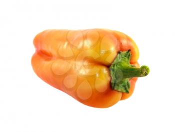 Ripe sweet pepper isolated on a light background