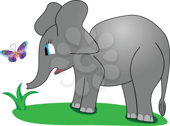 Illustration of a baby elephant on the grass with a flying butterfly