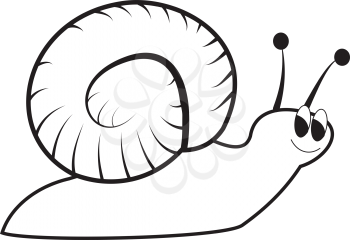 Illustration of funny cartoon snail on a white background