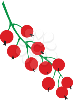 Illustration of sprig of ripe red currant on a white background