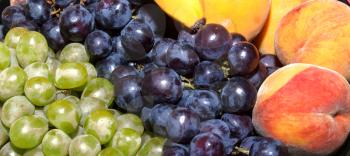 Background of ripe white and black grapes and peaches