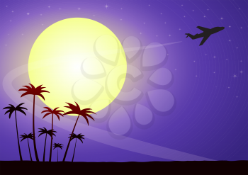 Illustration of airplane silhouette on a moonlit night against a starry sky with palm trees