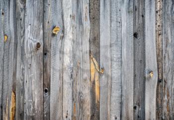 Wooden plank texture background. Old wood surface. Front view.