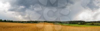 Overcast stormy sky and field of dry grass. Panorama shot.