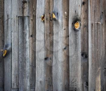 Wooden planks texture. Rustic weathered wooden background.