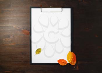 Blank letterhead in clipboard and bright autumn leaves with water droplets on wooden background. Copy space for text. Flat lay.