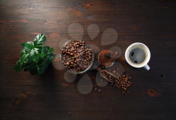 Brewing coffee background. Coffee cup, roasted coffee beans, plant and ground powder on wooden background. Flat lay.
