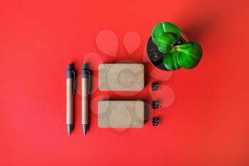 Blank kraft business cards, pens and plant on red paper background. Top view. Flat lay.