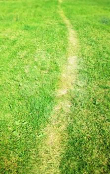Diagonal path walk on green grass background background