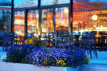 Flower bed near Norway city cafe background hd