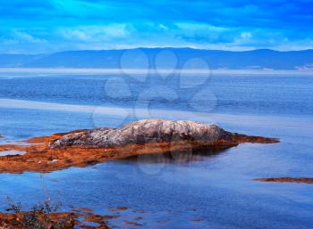 Stone in seaweed near Norway coast landscape background hd