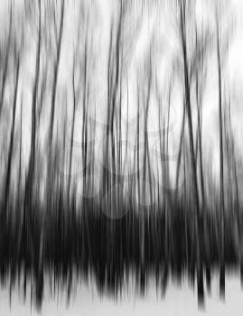 Vertical black and white motion blur trees art abstraction backdrop