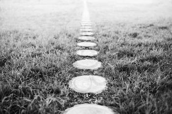 Vertical black and white forest path footway background