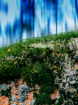 Vertical vivid vibrant moss abstract composition