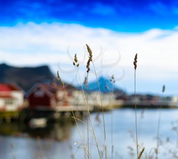 Horizontal vivid vibrant rye bokeh fjord mountain background backdrop