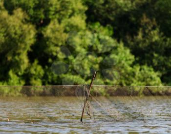 Horizontal vivid indian fishing net bokeh background backdrop