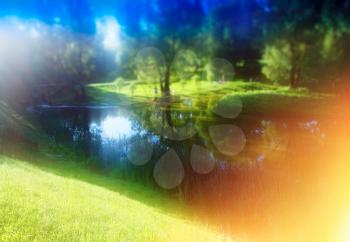 Sunny park landscape with dramatic light leak background
