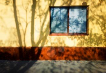 Dramatic tree shadow on house wall background