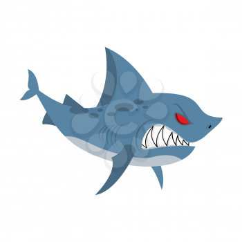 Angry shark. Marine predator with large teeth. Deep-water denizen. Vector illustration  shark on white background
