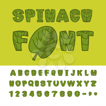 Spinach font. Useful Herbs alphabet. Green lettuce leaves alphabet. Sports, dietetic food typography. Grass letters
