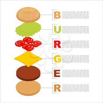 Burger infographics. Structure of hamburger isometrics. Fresh bun. Cutlets. Cheese and lettuce. Tasty tomato. Construction of sandwich. Fast food ingredients flat packed