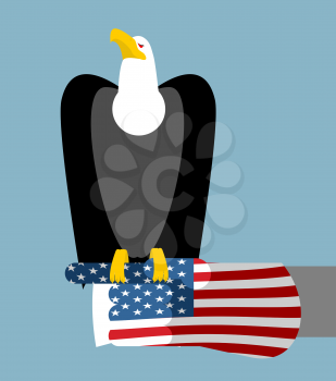American patriotic eagle hunting. Bald eagle sitting on glove of USA flag. National symbol of America

