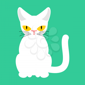 white Cat isolated. Pet on green background
