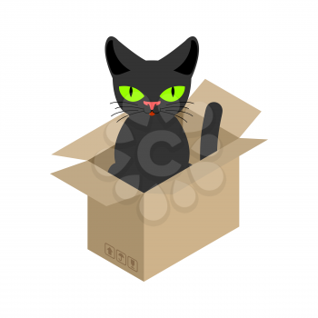 Cat in box isolated. Pet in cardboard box. vector illustration
