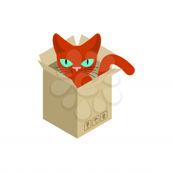 Cat in box isolated. Pet in cardboard box. vector illustration
