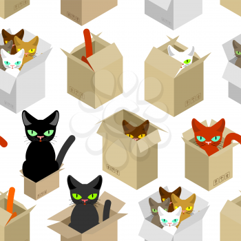 Cat in box pattern. Pet in cardboard box background. vector texture
