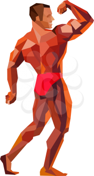 Colored bodybuilder, showing his muscles. Silhouette of athlete. Vector illustration of posing bodybuilder, whole figure. Vector illustration