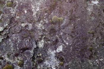 Background: old granite stone overgrown with moss 