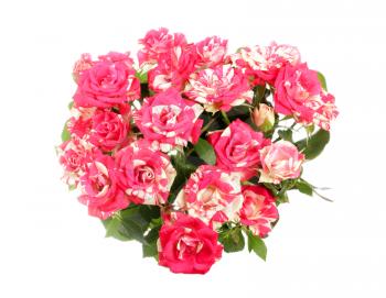 Pink roses bouquet isolated on white background