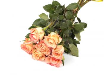 Peach roses bouquet isolated on white background