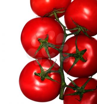 Branch of red tomatoes isolated on white background