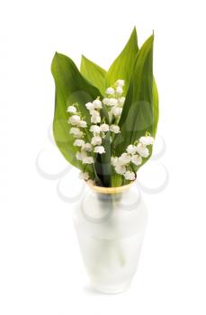 Vase with lily of the valley isolated on white background