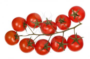 Branch of cherry tomatoes isolated on white background