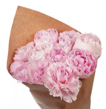 Bouquet of pink peonies in parchment isolated on white background