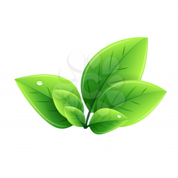 Vector eco green leaves. Abstract ecology design element