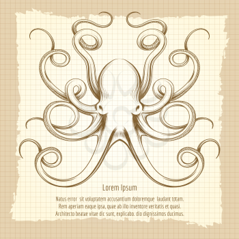 Vintage octopus vector illustration. Hand drawn octopus on grunge notebook page