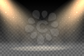 Vector rays of light on transparent background