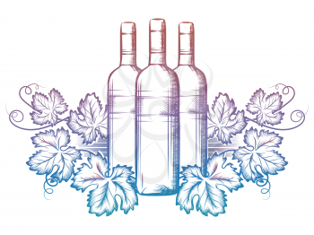 Hand drawn wine bottle and grape leaves isolated on white background. Colorful winery banner design. Vector illustration