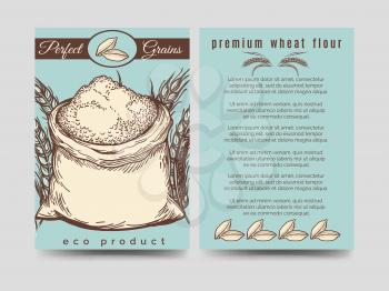 Brochure flyer template of premium mill product. Vector illustration