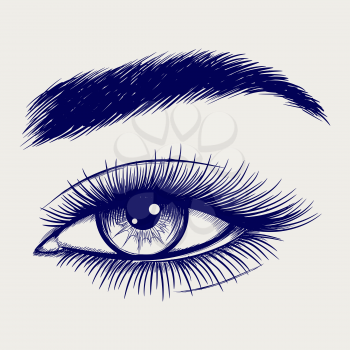 Ballpoint pen sketch of beautiful female eye. Vector illustration