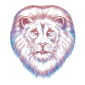 Colorful hand drawn lion head isolated on white background. Vector illustration