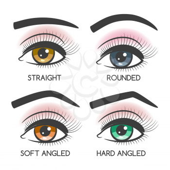 Popular female eyebrows shape set on white backdrop. Vector illustration