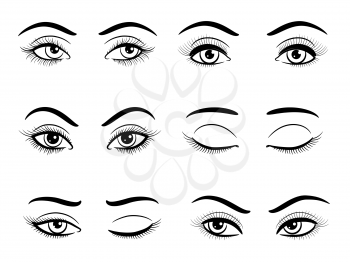 Hand drawn open and closed female eyes set. Vector illustration